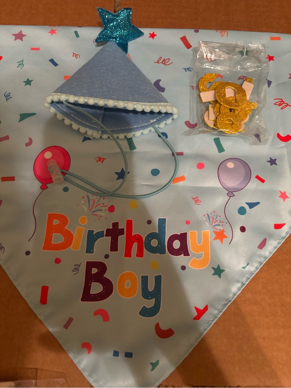 Pet Party Bandana & Hat Set